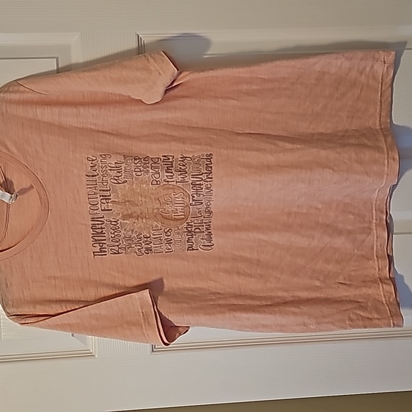 2 fall themed tees, Bella Canvas XL and Gildan 2XL, - Picture 5 of 15